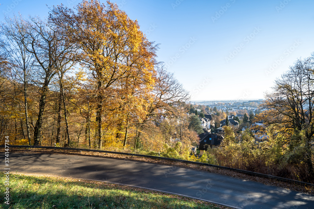 Colorful autumn Park with trees in Wiesbaden, Germany