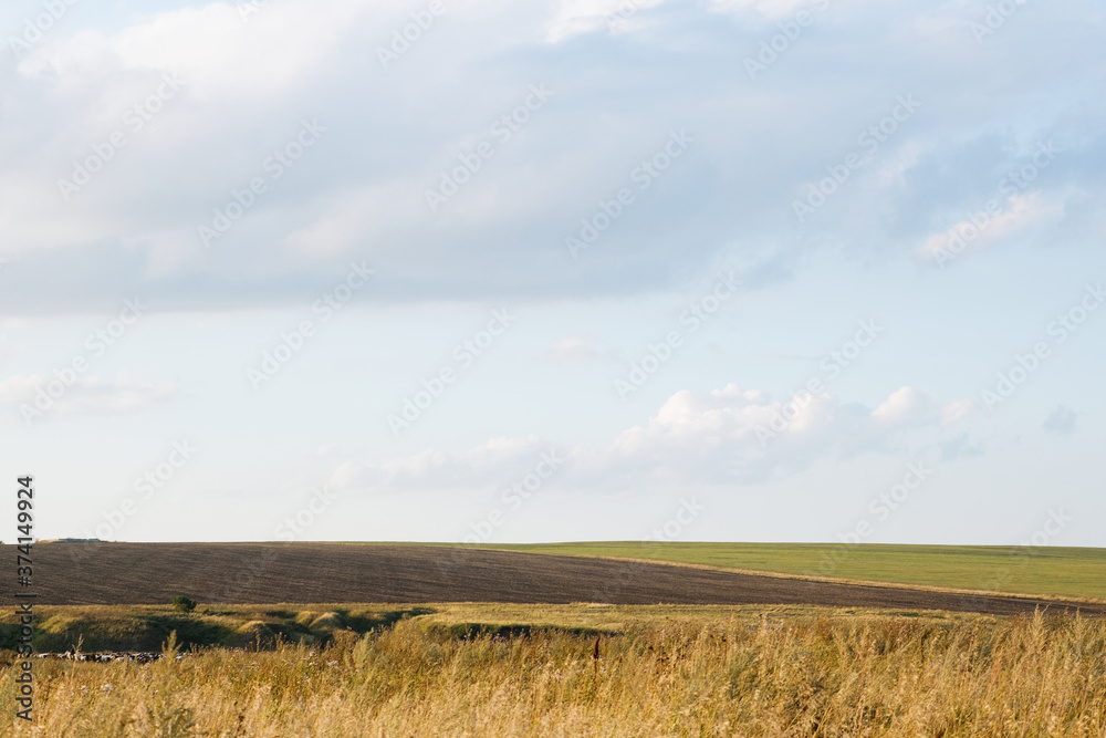 Beautiful summer rural landscape: fields, harvest and blue sky. Tranquil landscape, green hills in summer. Concept of harvesting, travel and tourism.