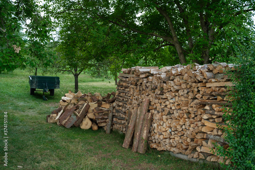 Gestapeltes Brennholz zwischen Bäumen und Hecken, dahinter ein landwirtschaftlicher Anhänger (Holzwirtschaft)