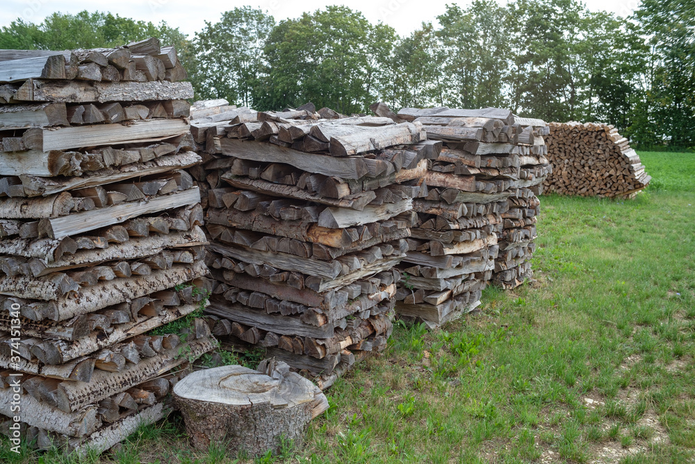 Mehrere ordentlich aufgeschichtete gestapelte Haufen mit Brennholz (Holzwirtschaft)