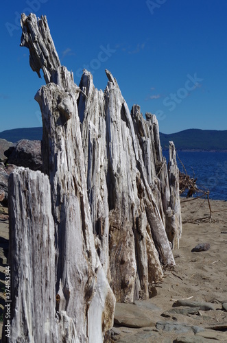 Muret en bois travaillé par la mer sur le bord d'une plage par une journée ensoleillée d'été