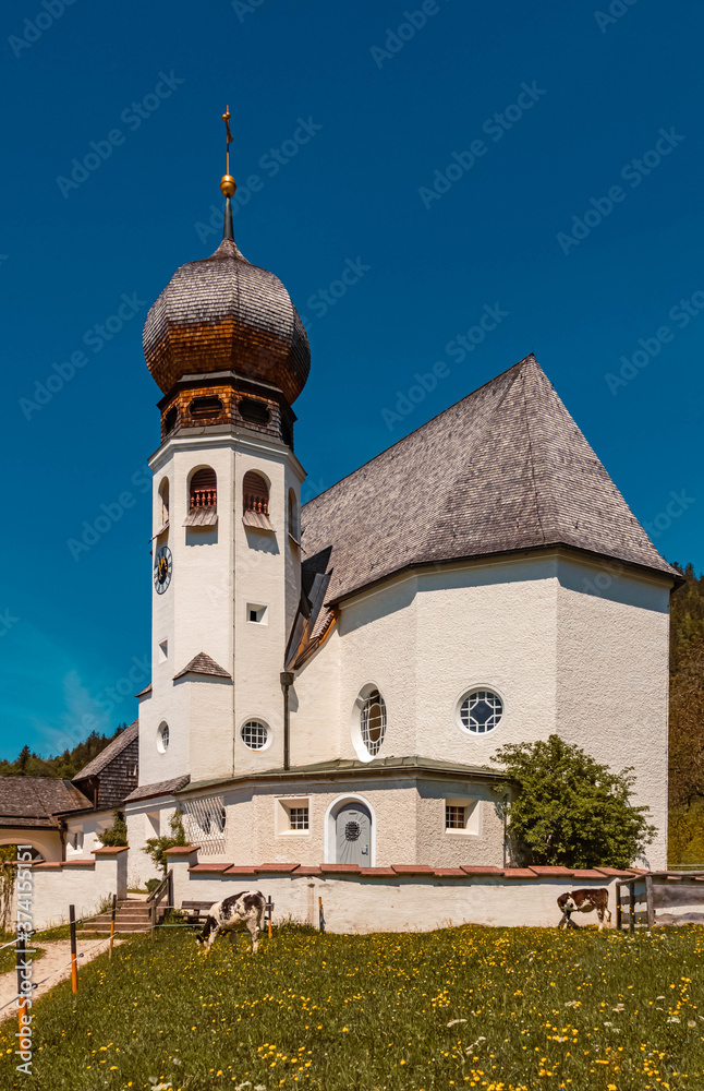 Beautiful church with calves and a flower meadow at Oberau near Berchtesgaden, Bavaria, Germany