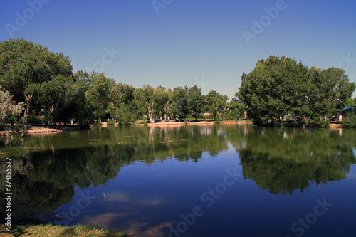 beautiful trees with reflection on lake © James