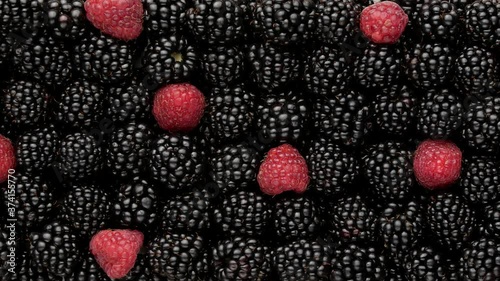 Wallpaper Mural Blackberries and raspberries - background. Torontodigital.ca