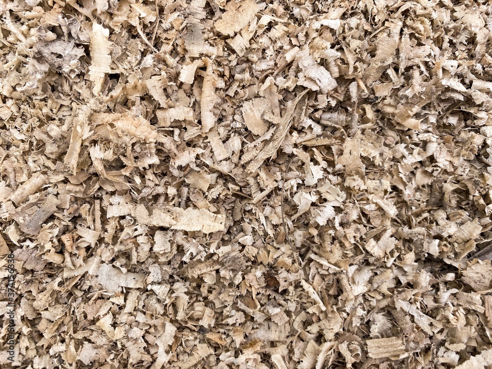 close up dry sawdust texture