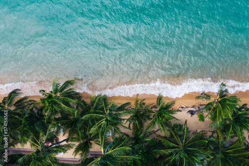 Aerial scenery of picturesque coastline with turquoise water waves and green tropical palm. Bird's eye view of paradise beach shoreline of Hawaii, beautiful tourist destination for summer vacations