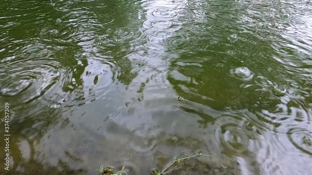 Raindrops on the water. Raindrops on the water.