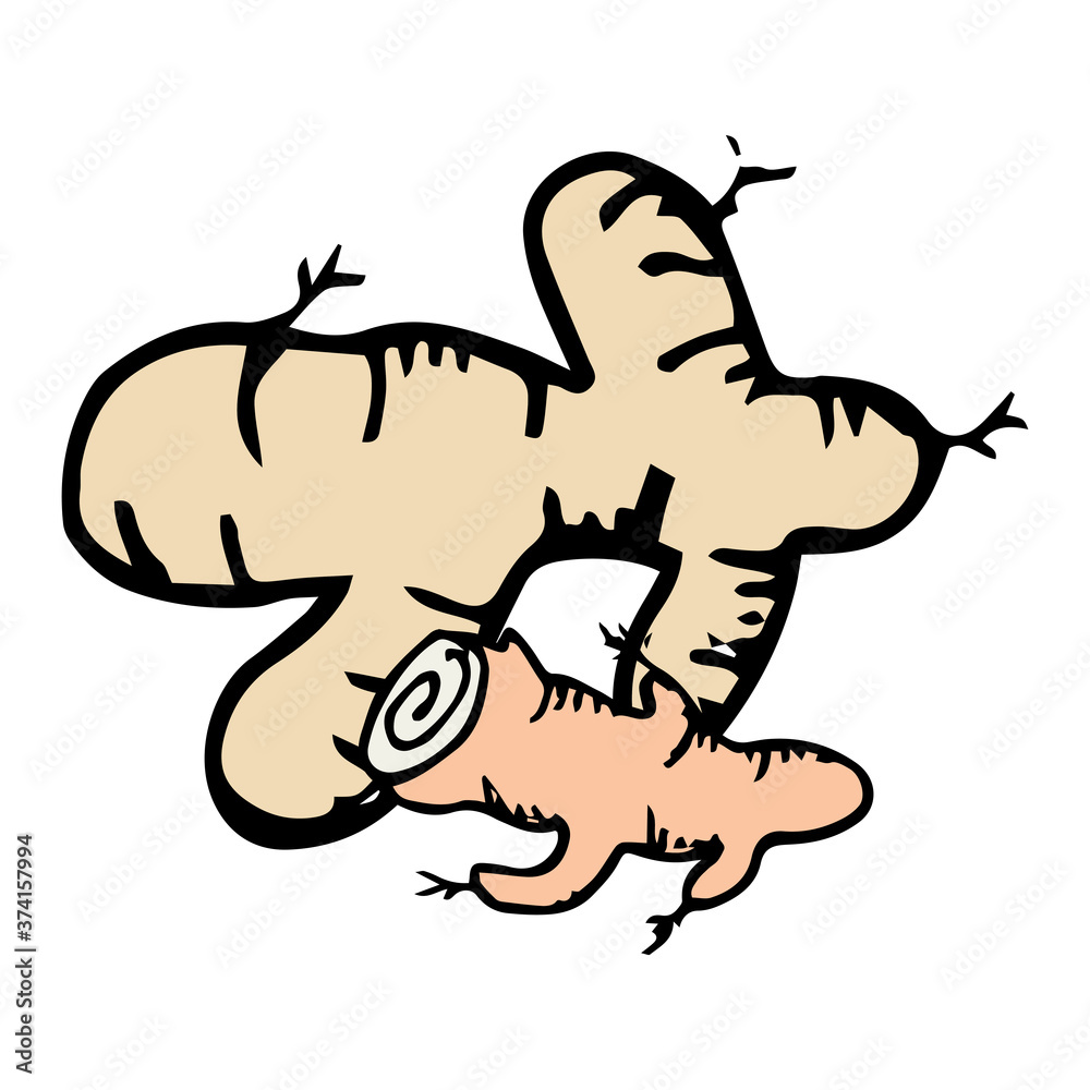 Ginger icon vector hand drawn Ginger icon vector hand drawn