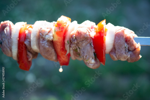 skewers on skewers, fried meat, outdoor recreation