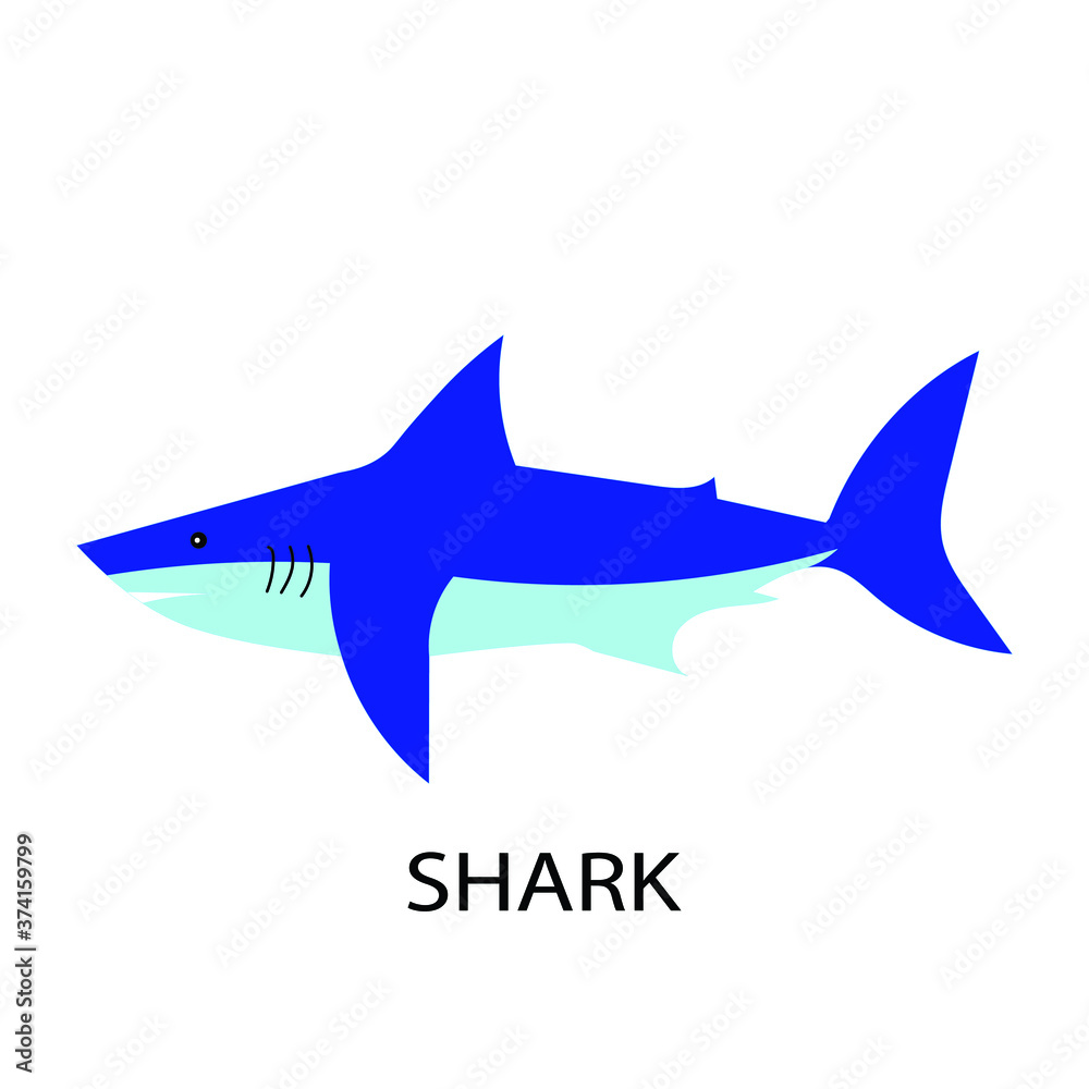 Shark on white background. Vector illustration