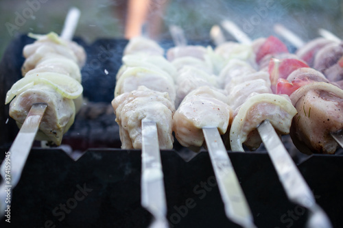 skewers on skewers, fried meat, outdoor recreation