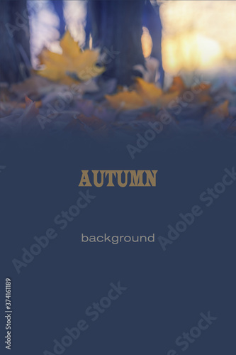 Natural autumn background for the design of signs, postcards, banners, covers and menus. Tinted photo. Selective and soft focus.
