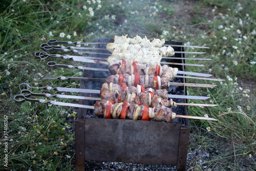 skewers on skewers, fried meat, outdoor recreation