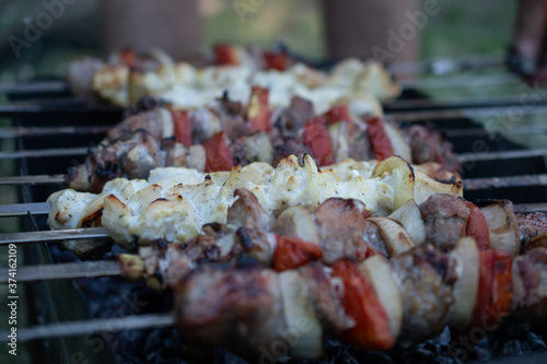 skewers on skewers, fried meat, outdoor recreation