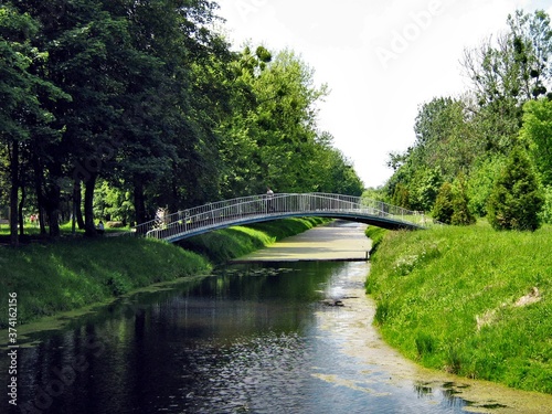 bridge in the park
