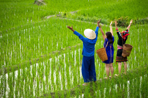 Asian male farmer and hmong women with basket standing on rice field on tribe and happiness by hand rising up together photo