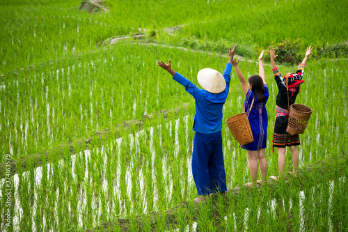Foto Asian male farmer and hmong women with basket standing on rice field on tribe an