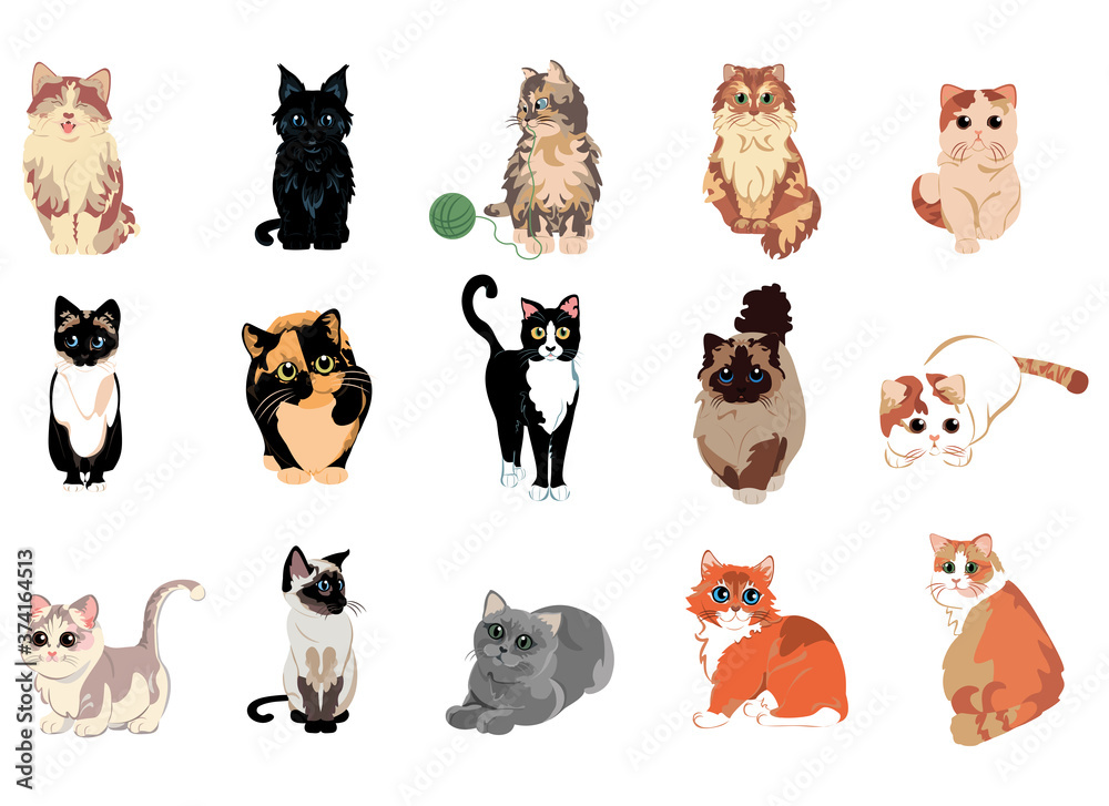 Isolated set group cats breed animals icon- Vector Isolated set group cats breed animals icon- Vector