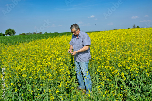 Agronomist inspecting quality of canola field