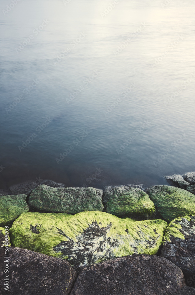 Rocks covered with green algae in water. Rocks covered with green algae in water.