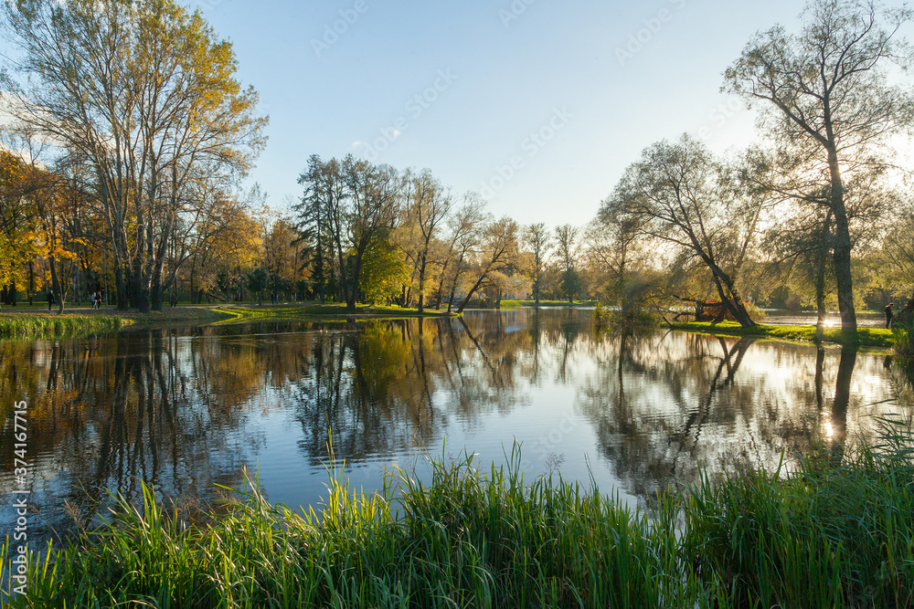 Autumn park landscape with bright trees Autumn park landscape with bright trees