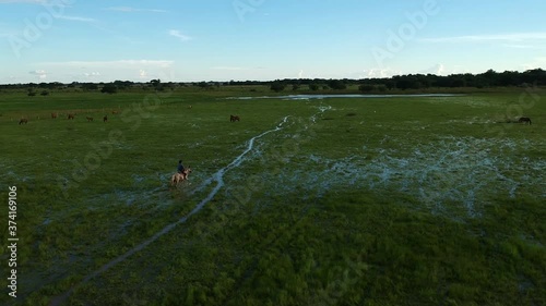 llanero cabalgando en laguna  photo