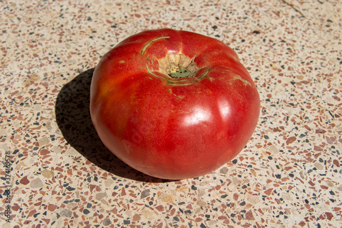 Tomate moruno photo