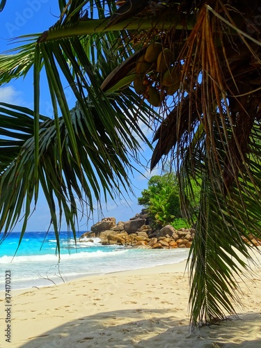 Seychelles  Indian Ocean  Praslin Island  east coast  Anse Georgette beach