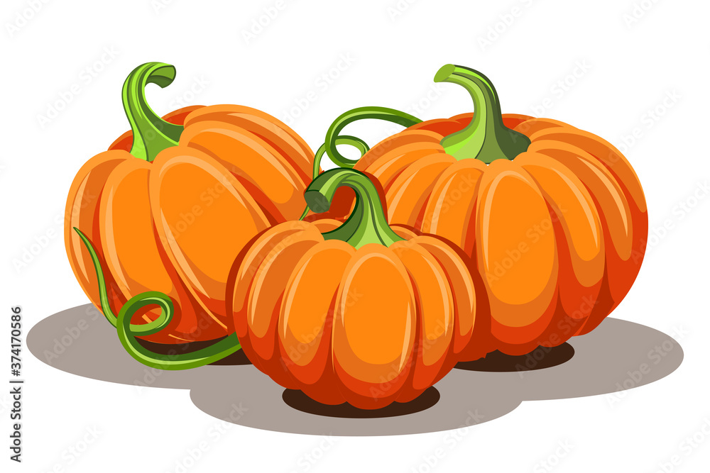 Obraz premium Pumpkins with leaves isolated on white background