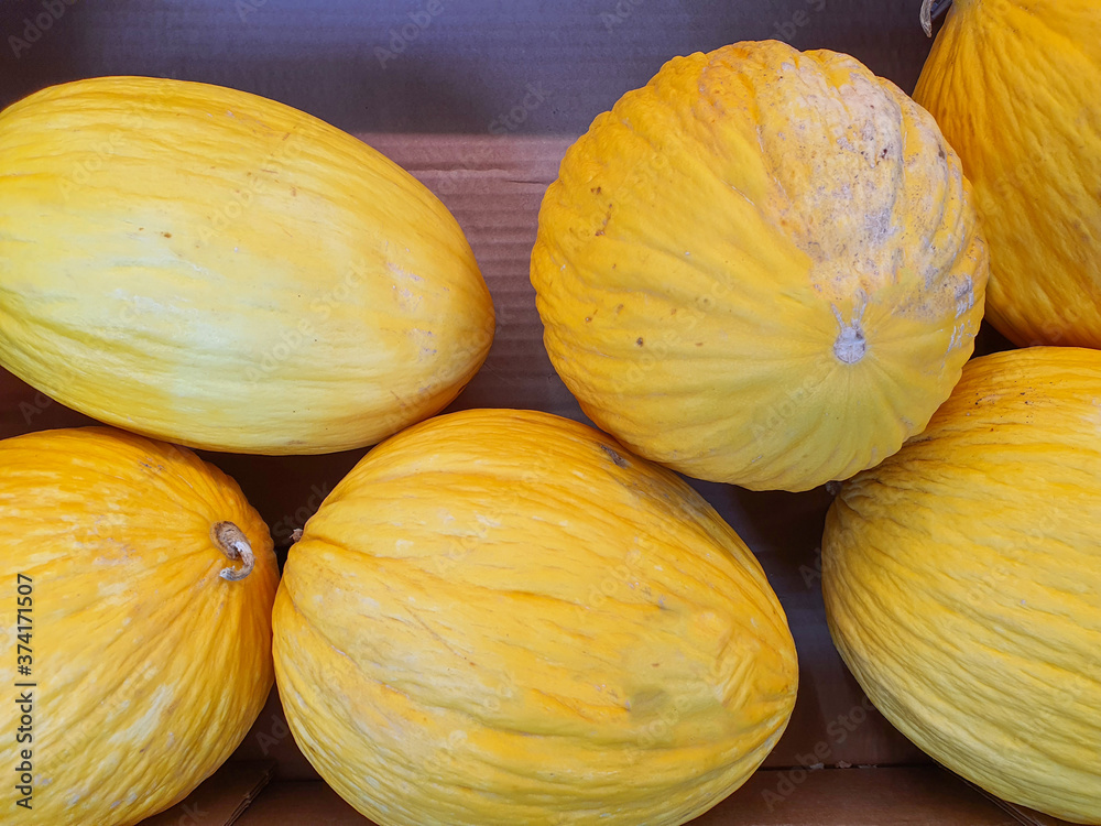group of yellow melons ready for sale
