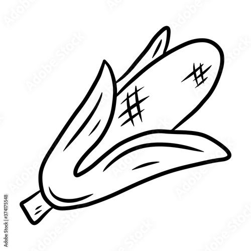 Corn. Hand drawn vector illustration in doodle style, isolated on a white background.