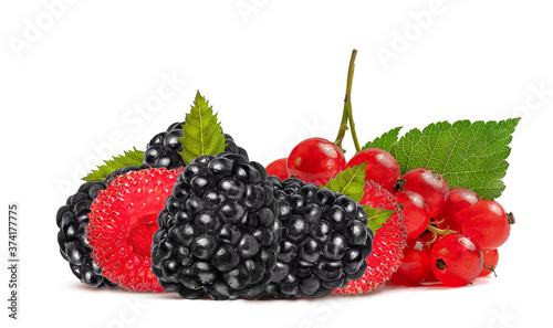 red and black berries - currants and blackberries on a white background