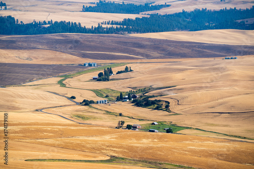 Rolling fields of wheat in the palouse area, viewed from Steptoe Butte, Colfax