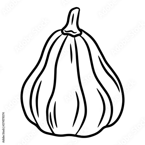 Pumpkin. Hand drawn vector illustration in doodle style, isolated on a white background.