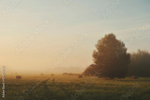 foggy morning © Александр Иванов