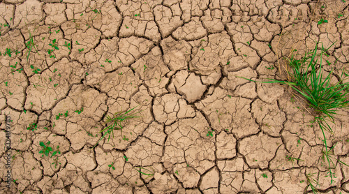 Danger of global warming concept. Close up dead grass with cracked soil in dry season