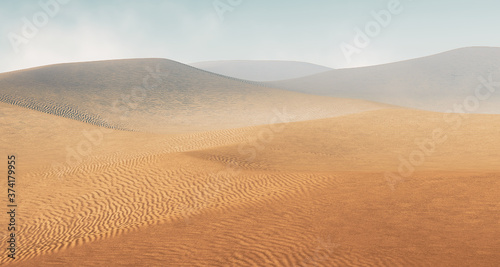 Sahara desert with sandstorm