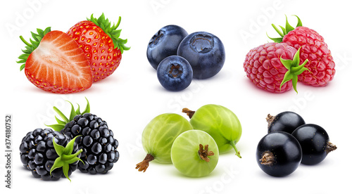 Forest berries collection isolated on white background