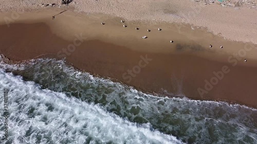 Summer scenes sea and beach shot from the air