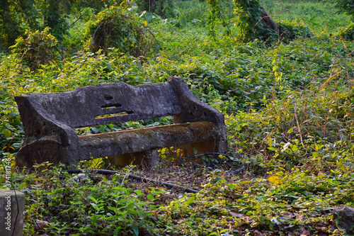 Abandoned cement bench covered with moss on the footpath at Indian Botanic Garden of Shibpur, Howrah near Kolkata. Soft focus