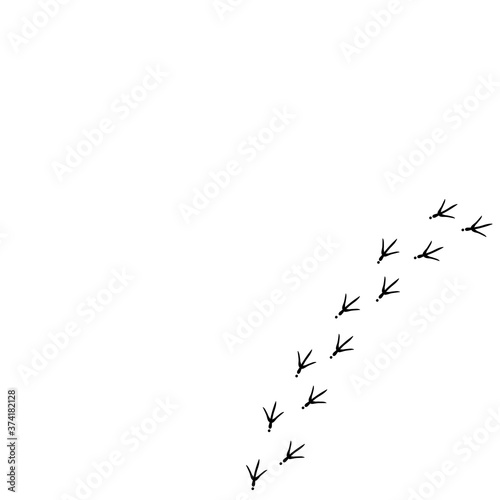 Vector background with bird trail on the right side. Black Bird footprints track