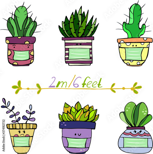 Social distance concept. Set of hand drawn succulents. Flowerpots in masks. Keep distance of 2 meter or 6 feet. Coronavirus Prevention covid-19. Vector illustration design.