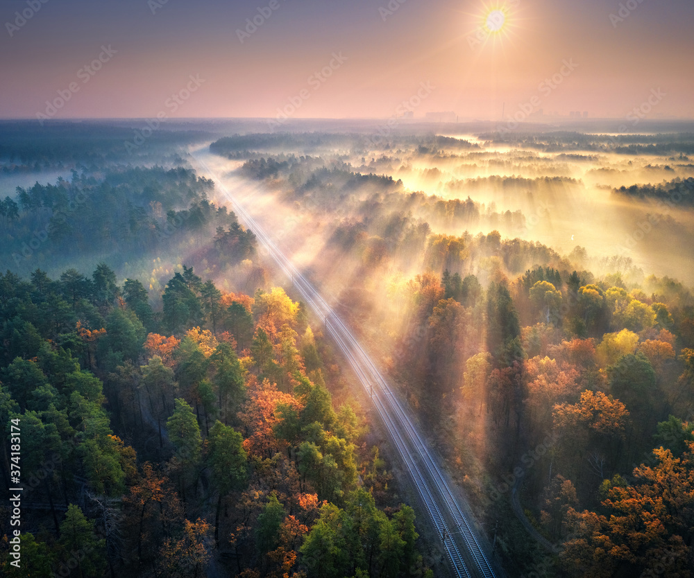 Aerial view of beautiful railroad in autumn forest in foggy sunrise. Industrial landscape with railway station, sky, trees with orange leaves, fog and sun rays. Top view of rural railroad and sunbeams Aerial view of beautiful railroad in autumn forest in foggy sunrise. Industrial landscape with railway station, sky, trees with orange leaves, fog and sun rays. Top view of rural railroad and sunbeams