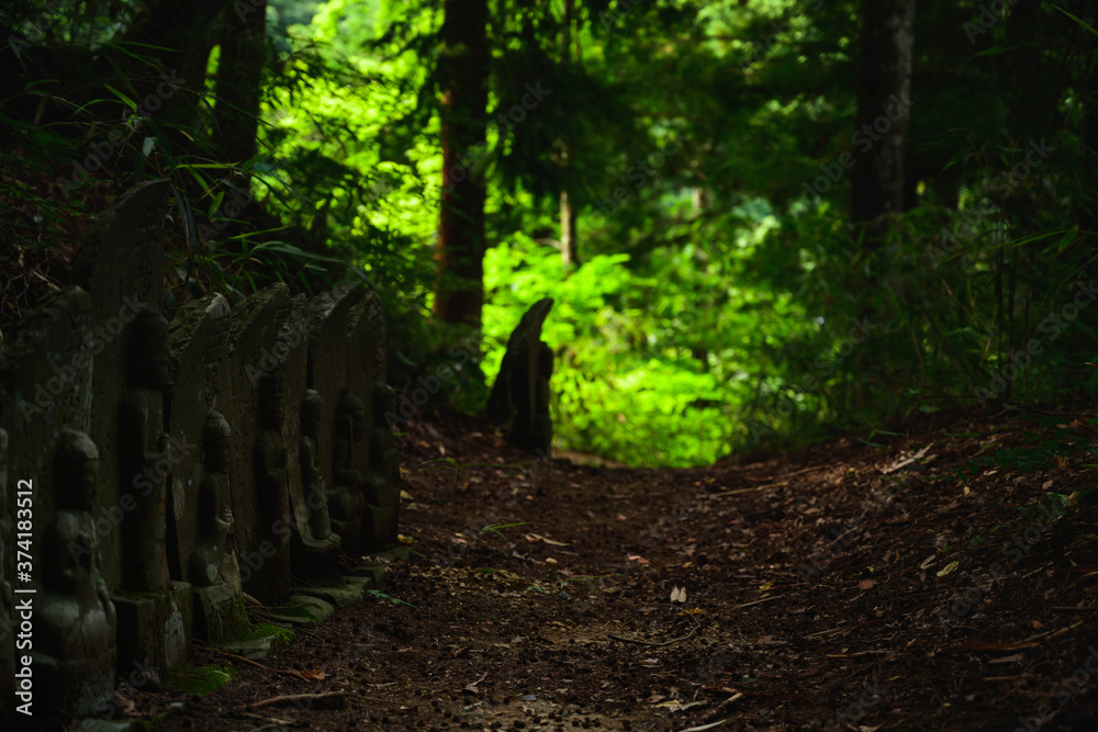 Fototapeta premium 石仏が並ぶ山の遊歩道