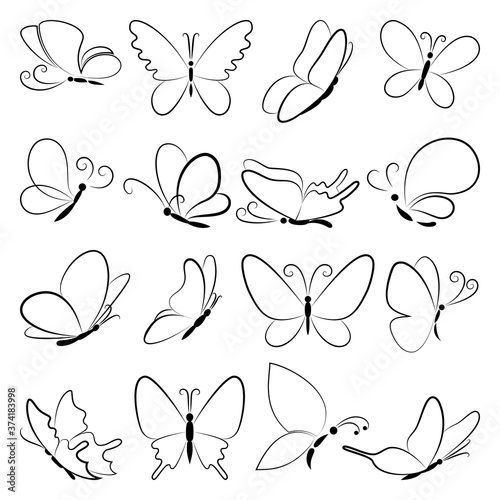 Butterflies vector set