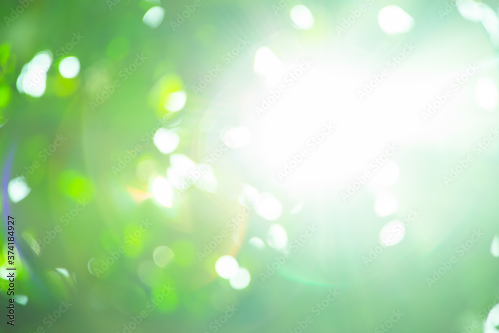 Spring bokeh nature abstract background Green leaves blurred, beautiful in the spring or summer. Spring bokeh nature abstract background Green leaves blurred, beautiful in the spring or summer.