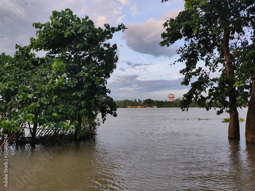 lake and trees cuddling with the clouds