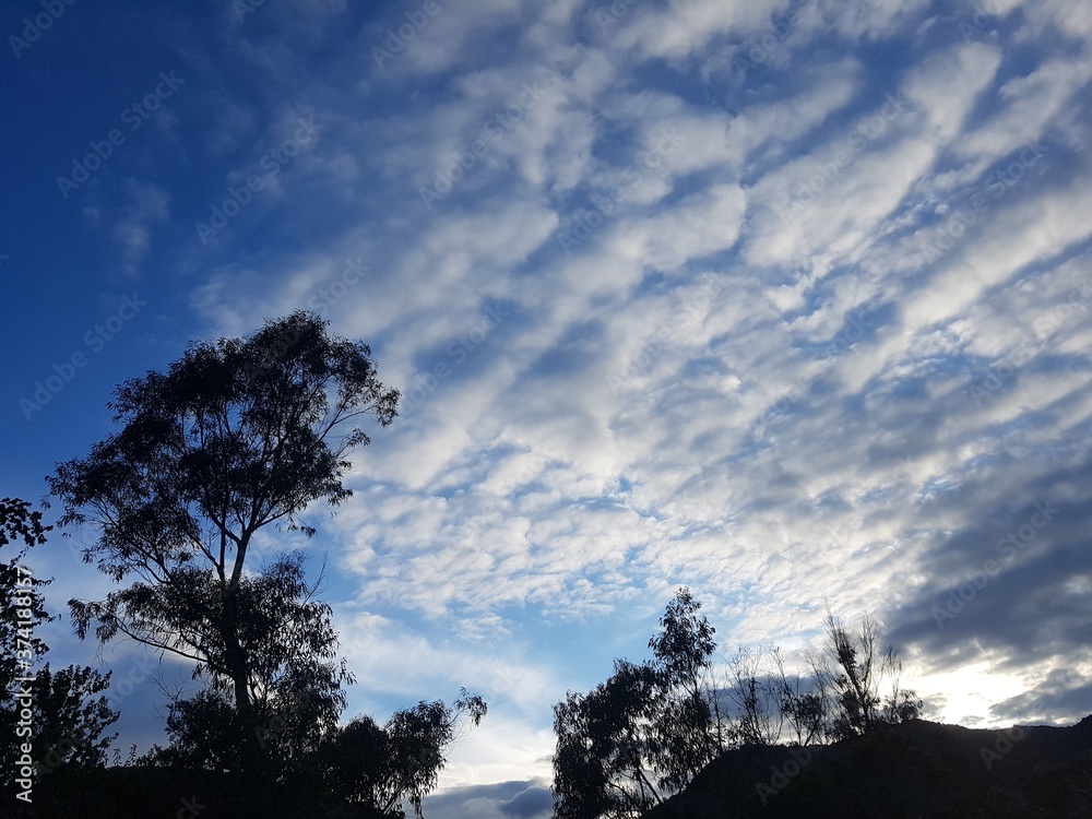 Cielo Cielo