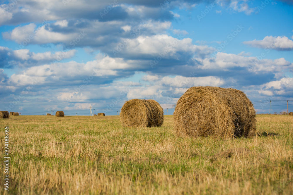 Round haystacks in a field in the autumn sunny day against a blue sky with clouds.
