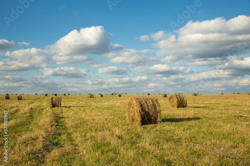 Round haystacks in a field in the autumn sunny day against a blue sky with clouds.